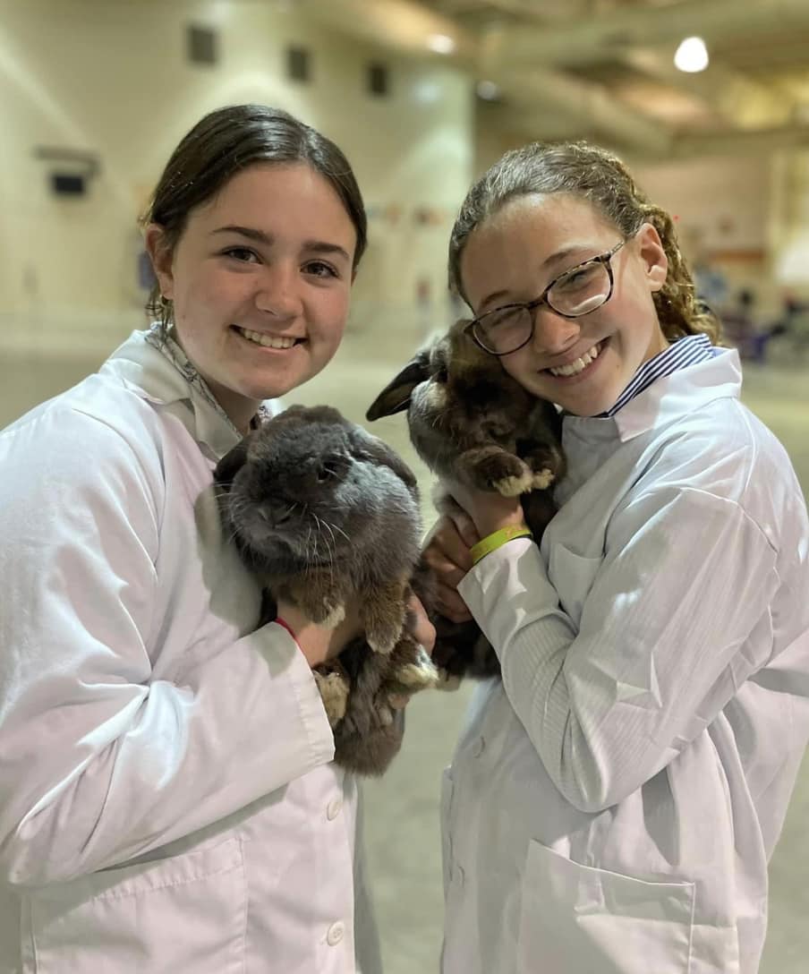 LSU AgCenter 2023 rabbit show winners announced 